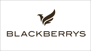 Partner Logo 9
